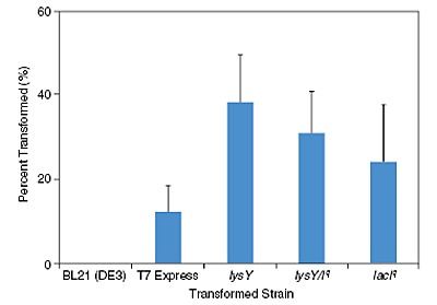 C3013_fig1