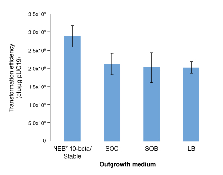 C3040_OutgrowthMedium_0517a