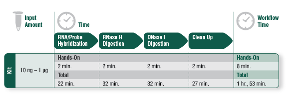 rRNA Depletion