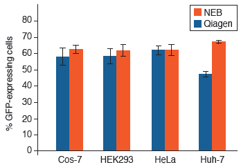 Plasmid DNA purified using the Monarch Plasmid Miniprep Kit produces transfection efficiencies equivalent to or better than plasmid DNA purified using the Qiagen QIAprep® Spin Miniprep Kit. Plasmid DNA encoding constitutively expressed GFP (pEGFP-C2) was prepared using either Monarch Plasmid Miniprep Kit or Qiagen QIAprep Spin Miniprep Kit. Four different cell lines (Cos-7, HEK293, HeLa, and Huh-7) were grown to 80-90% confluence and transfected with 100 ng of each plasmid, in complex with 0.3 μl Lipofectamine 2000, and 10 μl Opti-MEM. Five replicates for each cell type were performed using both DNA preps. GFP expressing cells were counted by flow cytometry 48 hrs post-transfection with a minimum of 2000 events collected per well. Average percentage of cells expressing GFP from all replicates is graphed and used as a measure of transfection efficiency.