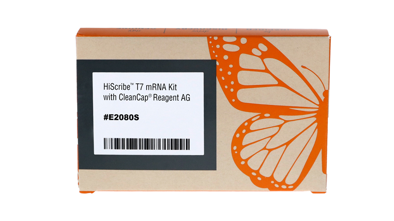E2080
