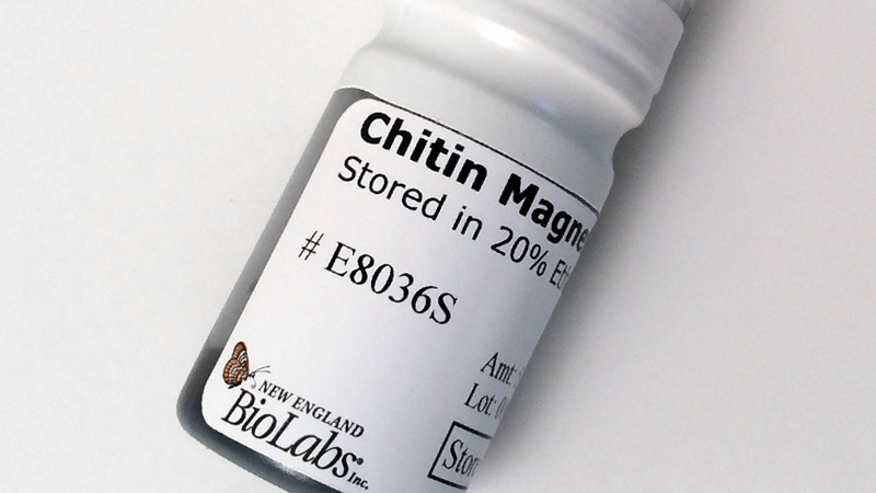 E8036
