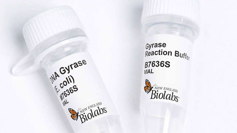 M7635 vials