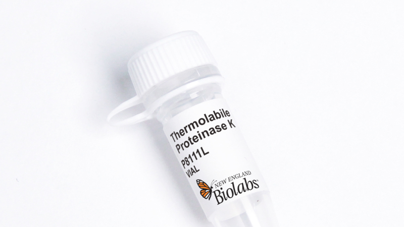 Vial of P8111