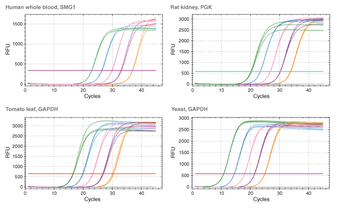 RNA qPCR