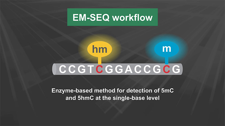 EMseqWorkflow_Animation_Thumb_720