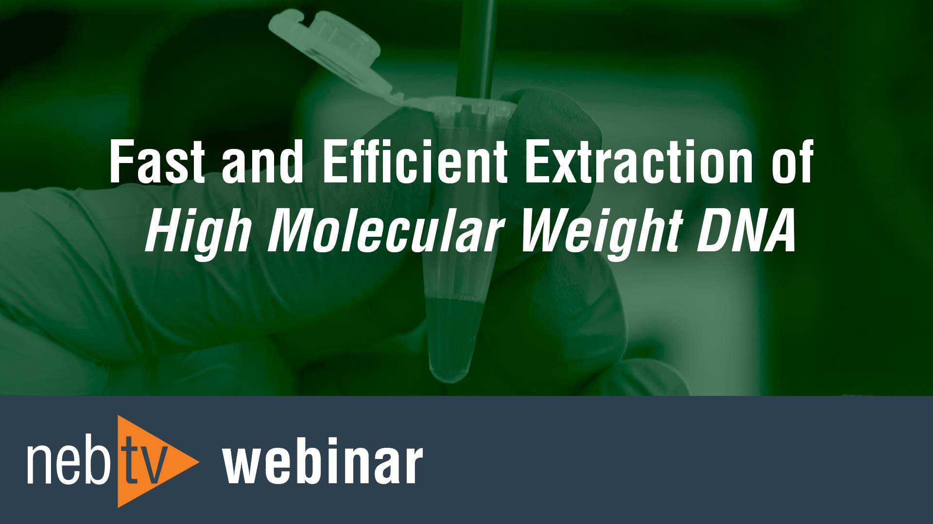 Fast-and-Efficient-Extraction-of-High-Molecular-Weight-DNA