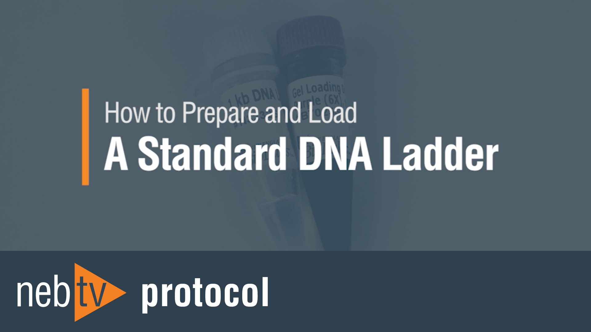 HowToPrepareandLoadAStandardDNALadder_1920