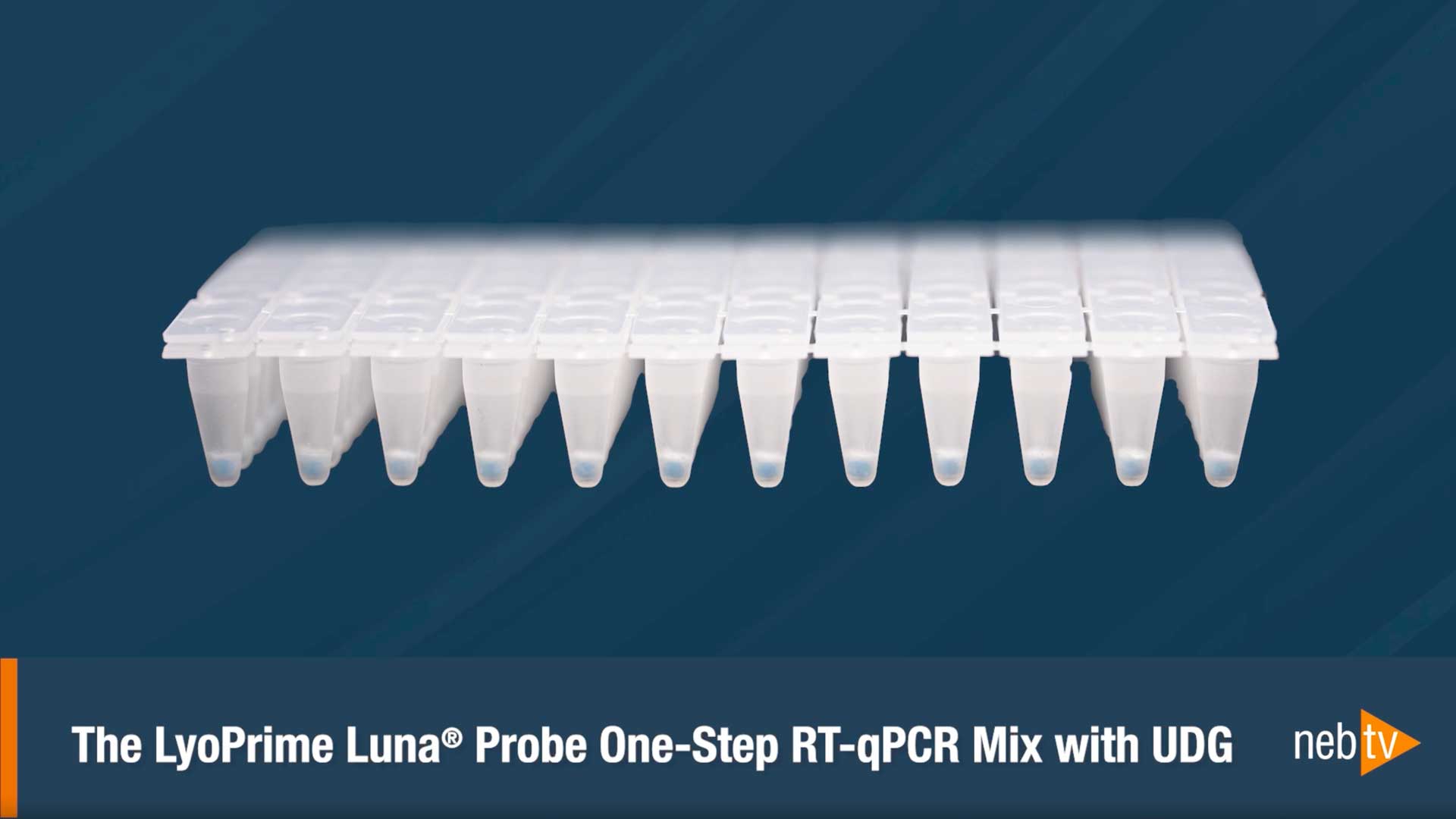 LyoPrime Luna L4001P plate format overview