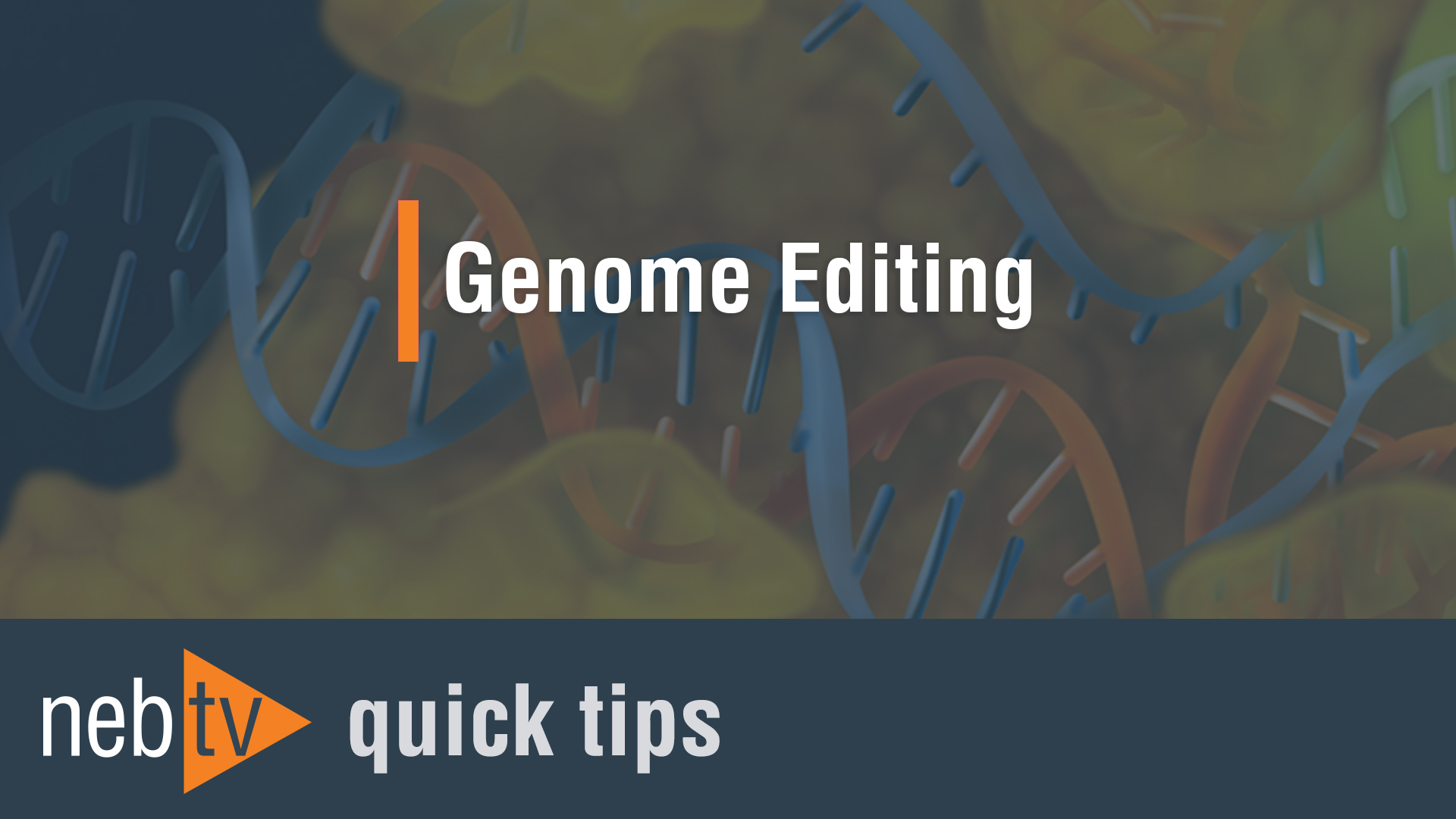 NEBTV_Genome-Editing_1920