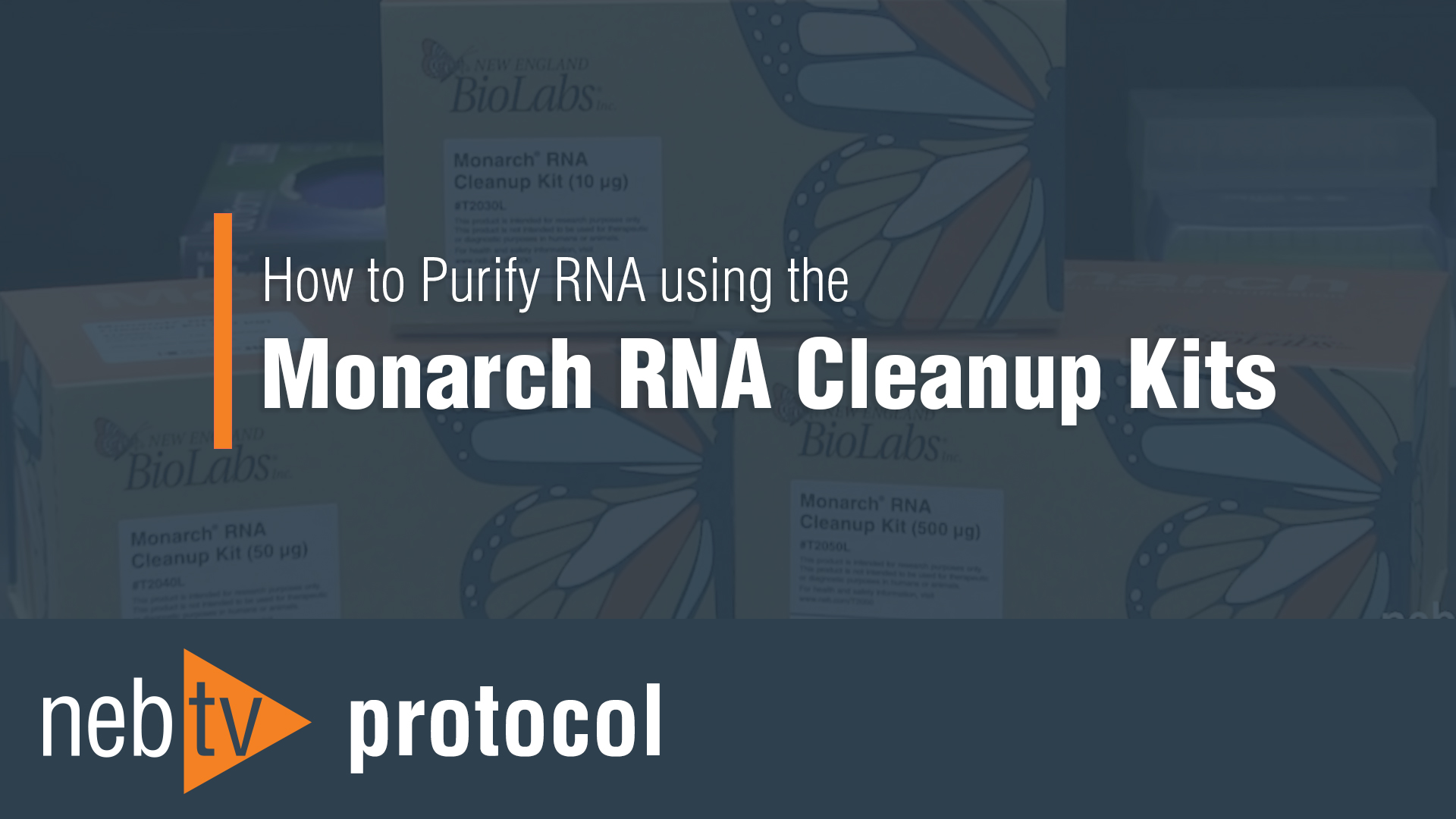 NEBTV_Protocol_HowToPurifyRNAusingTheMonarchRNAcleanupKit_1920