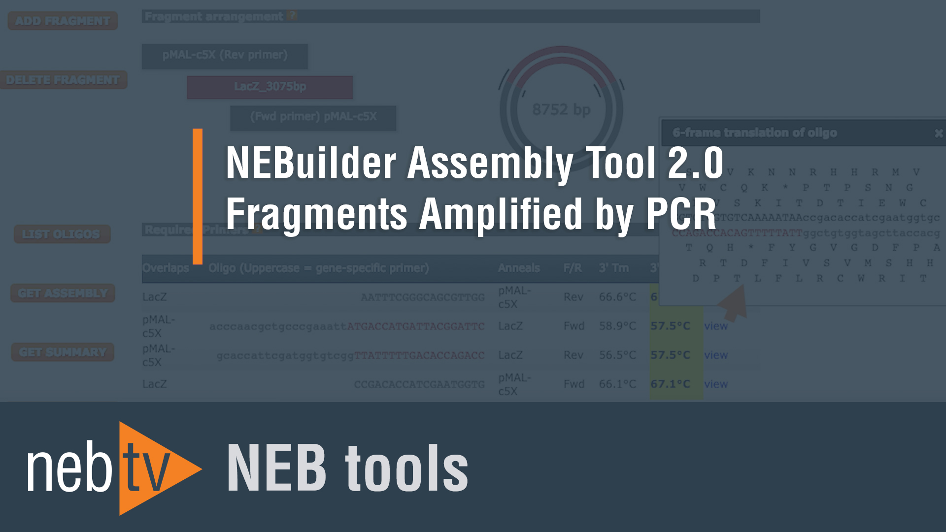 NEBTVToolsThumbnailNEBuilderAssemblyTool20Fragments Amplified by PCR