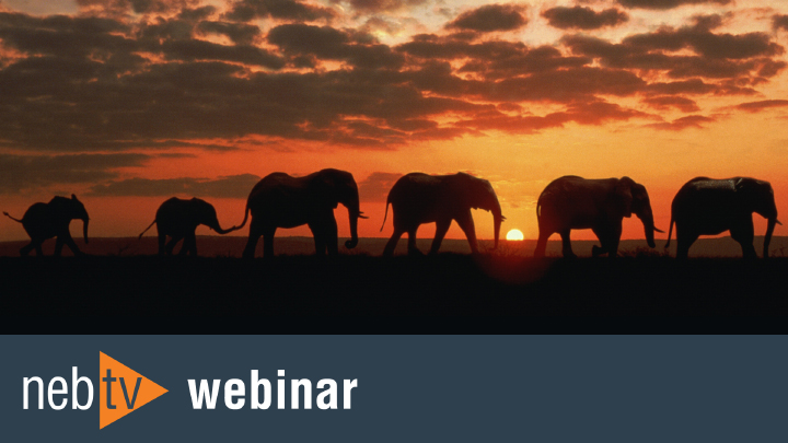 NEBTVwebinar_NEBuilderHiFi_720