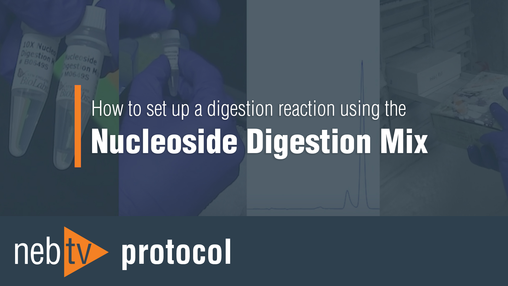 NucleosideDigestionMix_1920