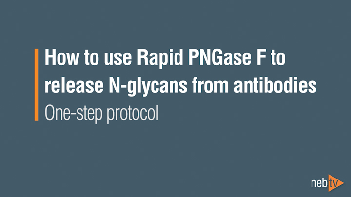 PNGase_OneStep_720