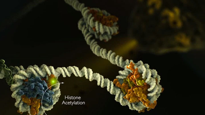 Epigenetics_Tutorial_TN