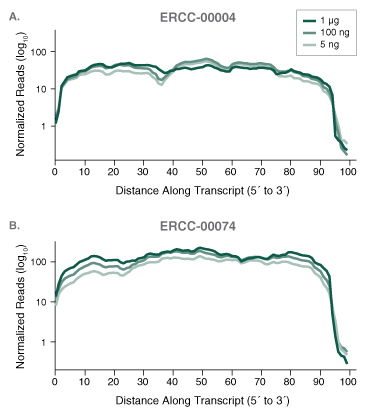 Nondir_RNA_Transcript_Figure3