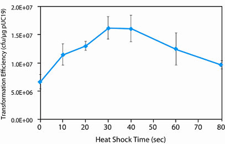 Effect of heat shock time on NEB 5-alpha competent E.coli transformation efficiency: 