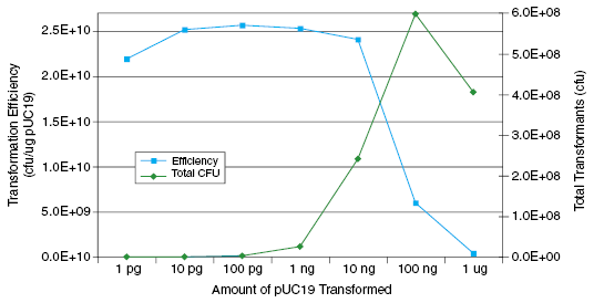 DNA Effects on Transformation Efficiency and Colony Output: